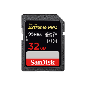 SANDISK SDSDXXG-032G                  