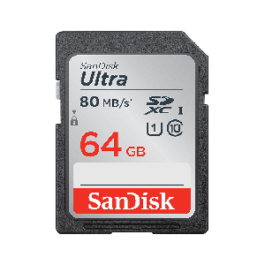 SANDISK SDSDUNR-064G                  