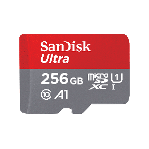 SANDISK SDSQUAR-256G-GN6MA            