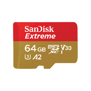 SANDISK SDSQXA1-64G-GN6MA