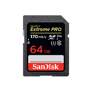 SANDISK SDSDXXY-064G                   