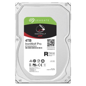 SEAGATE ST4000NE001                   