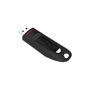 SANDISK SDCZ48-256G-UQ46              